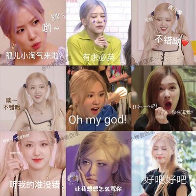 rose朴彩英表情包贴纸
