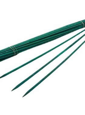 绿色竹签植物花卉防倒支撑杆室内外D绑花固定支架插花杆金钱树单