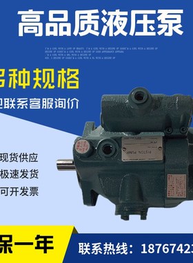 V23A4RX-30RC柱塞泵V23C13RHX-30 V23C14RVHX-30电动泵