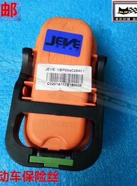 适用奇瑞QQ纯电动车保险丝新款QQ3EV汽车保险丝W奇瑞EQ保险丝