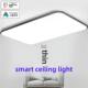 智能支持小爱超薄Led客厅吸顶灯矩形现代极简主义卧室餐厅灯