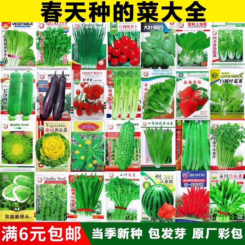 蔬菜种子香菠葫芦草莓辣椒
