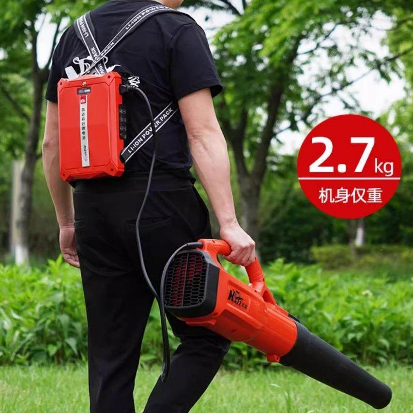 凯姿40V手提式吹风机 KZ950L电动鼓风机 吹雪机锂电吹尘吹树叶机,鲜花速递/花卉仿真/绿植园艺,割草机/草坪机,淘宝优惠券,粉丝福利购,淘宝优惠卷