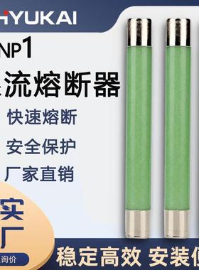 高压限流熔断器XRNT10-12KV/10KV熔断器高压分断能力箱变保险管丝