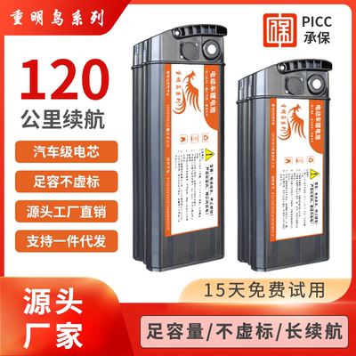 代驾折叠4车8V电动车锂电池48V20AH海霸通用款可拆卸大容量电瓶