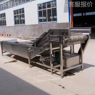 型RMC果蔬清洗线 苹果机青枣番茄上料清流 水果除大虫清洗风洗干