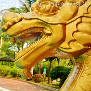 00备 按摩喷疗嘴 游泳 奔浪 水池疗配件 水疗池 金龙 水冲设BL