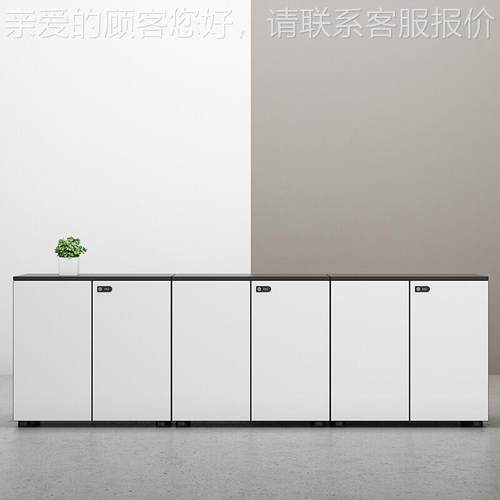 文资件柜矮柜档咨询案料储代物办公室现简约保密柜带锁密码物储柜