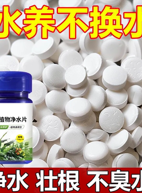 水培植物净水片除臭消毒富贵竹碗睡莲专用净化水质鲜花保鲜片