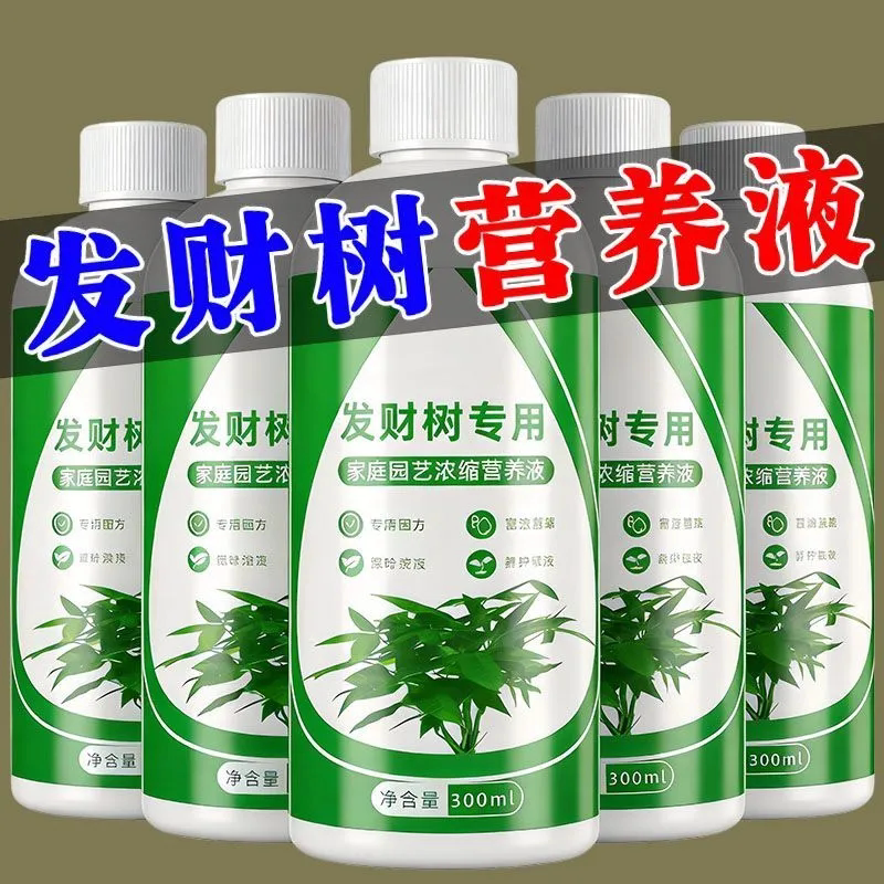 发财树防黄叶烂根促枝干粗壮油绿