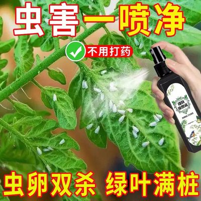 杀虫剂花卉植物通用绿植除虫剂多肉月季花家用蚧壳虫红蜘蛛杀虫药