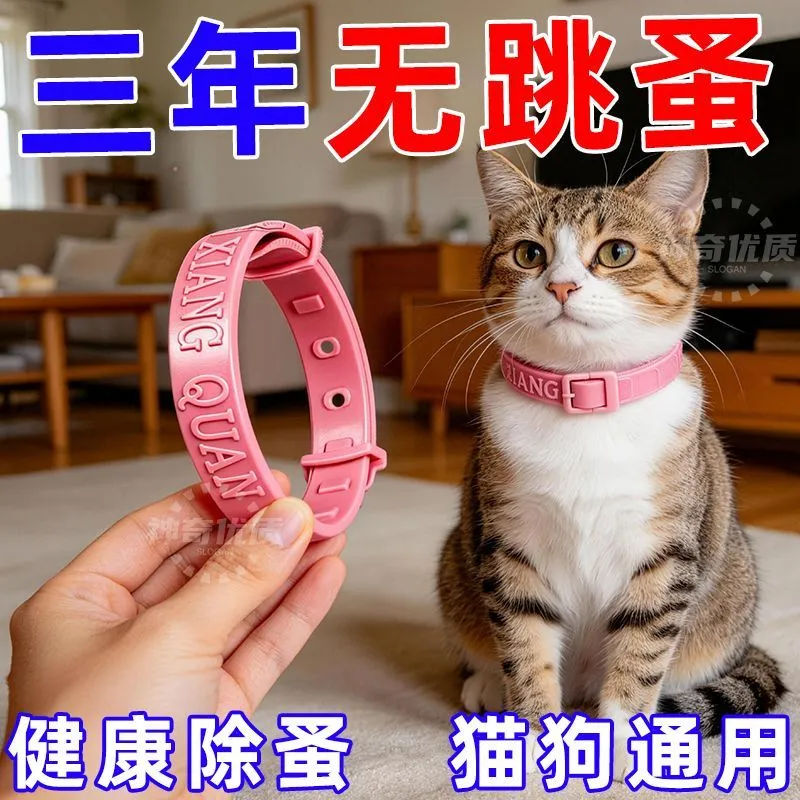 猫环 脖猫圈 除蚤 虱子 除螨小猫咪喵咪防虫防跳蚤除跳骚项圈蜱虫