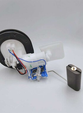 隆鑫LX300-6A -6C无极300RR LX300GS-LB 复古300AC燃油泵汽油泵