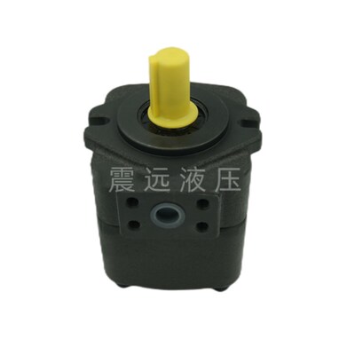 液压叶片泵油泵VQ20/DVQ20-6r/23/26/31/38-F-LRA/LRB/LRR/LRL/LL