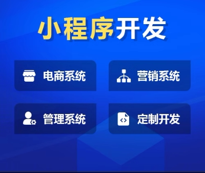定软件定制开发小程序制作