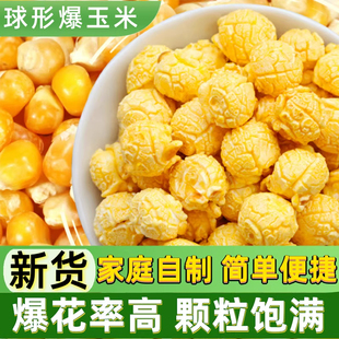 球形爆米花玉米粒100g球型爆米花专用干苞米家庭微波炉自己爆