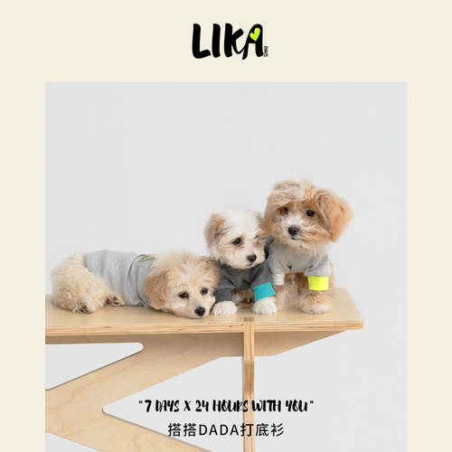 LIKAPAWS新品柔软舒适不起球宠物狗猫打底拼色T恤 DIY魔术贴