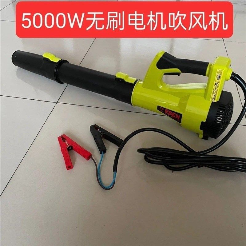进口夹电瓶款12Vm24V大功率吹风机大风力工业强力车载家用鼓风