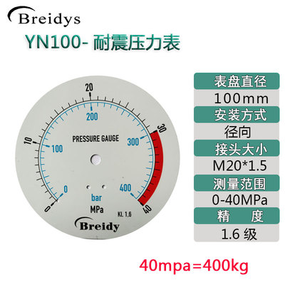 压力表YN100不锈钢耐震压力表测水压气压通用0-1.6/100Mpa多量程