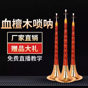 新艺血檀木唢呐乐器全套乐器初学者专业演奏型专业唢呐D调喇叭