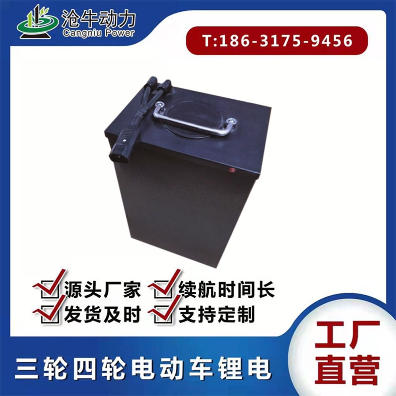 48V三轮四轮车老年代步拉货车小型观光车大容量长续航蓄能锂电池