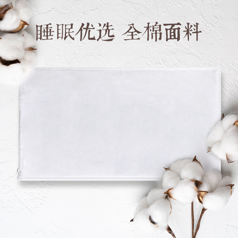 双层枕芯套白色内胆套纯