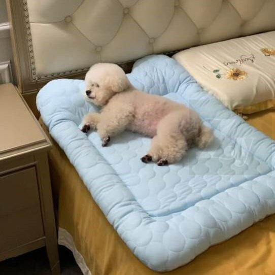 宠物冰垫狗狗睡垫夏天凉席猫垫子睡觉用冰窝猫窝狗窝降温神器凉感