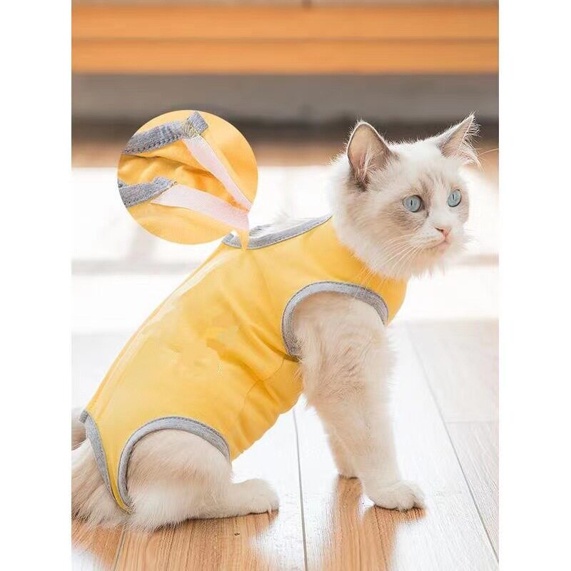 猫咪狗狗绝育服母猫公猫