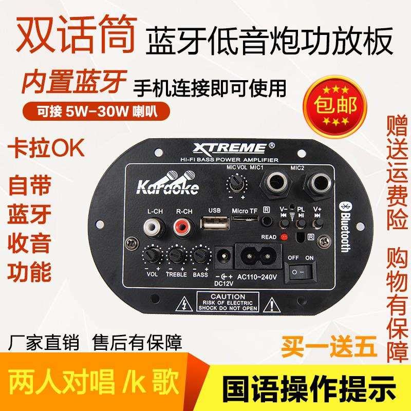 双话筒低音炮功放板蓝牙功放板12V220V车载家用功放板
