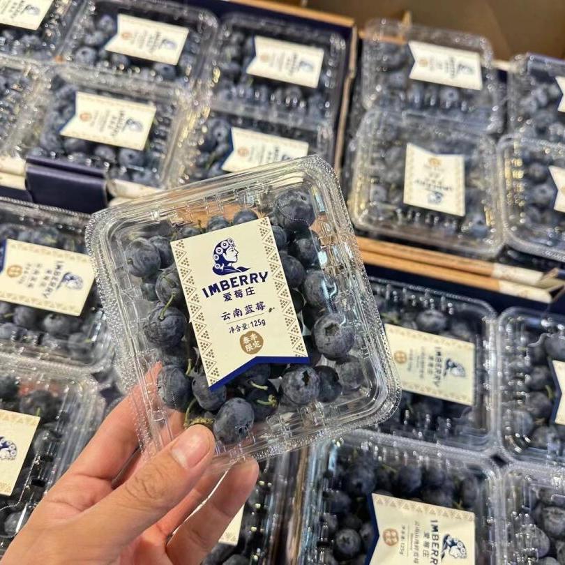 云南迷迭蓝皇冠蓝莓脆甜