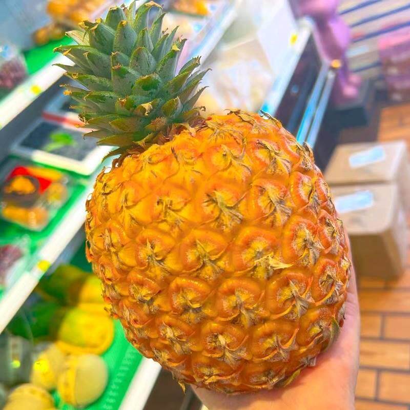 海南芒果凤梨礼盒果肉黄金个头小 无刺削皮可吃甜度高带芒果芬芳