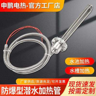大功率防爆型潜水加热管380v工业水箱电热管投入水槽油罐池加热棒