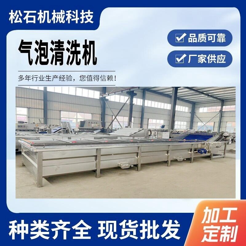 自动化果蔬气泡清洗机红枣芒果清洗设备·果蔬清洗风干线