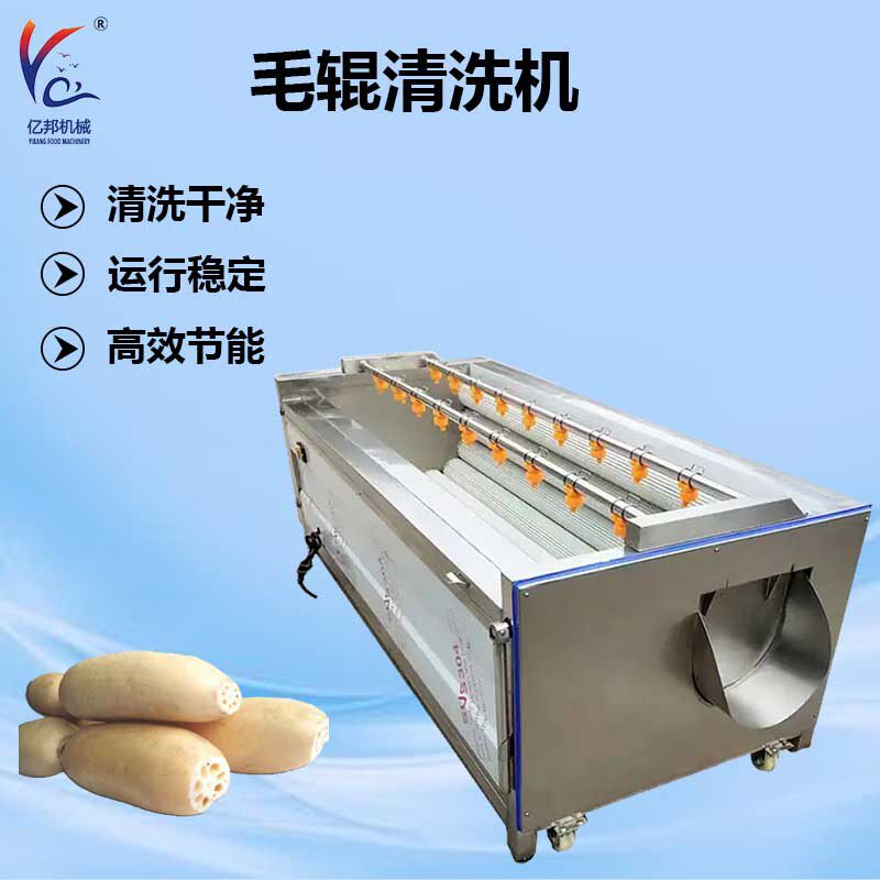 根茎类毛刷清洗机桔梗清洗去皮机莲藕清洗脱皮机冼马蹄机