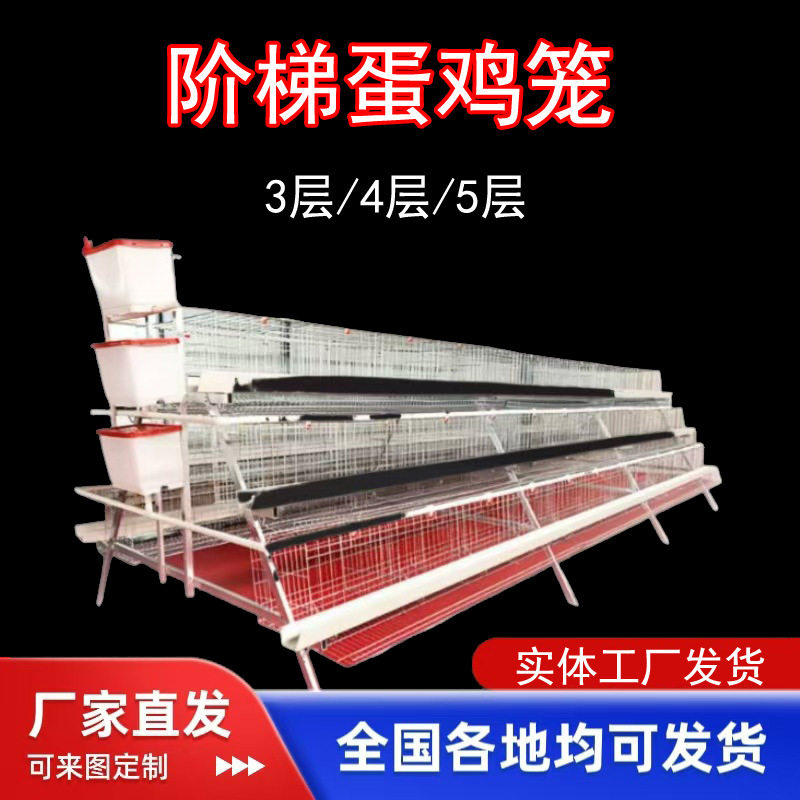 多层阶梯式蛋鸡笼养殖厂A型养鸡笼子家用冷热镀锌常用款现货批发图片