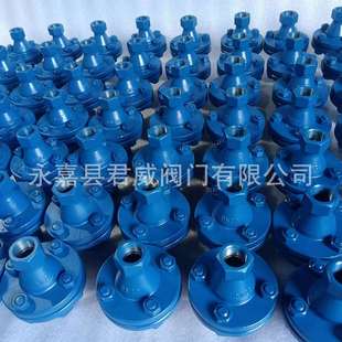 GZW丝扣阻火器DN25GYW内螺纹阻火器管道阻火器