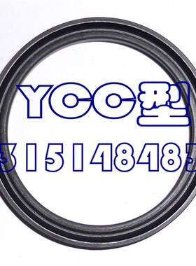 YCC/GP125*113/200*184/320*300*7*8*10*16气缸Y型活塞密封圈