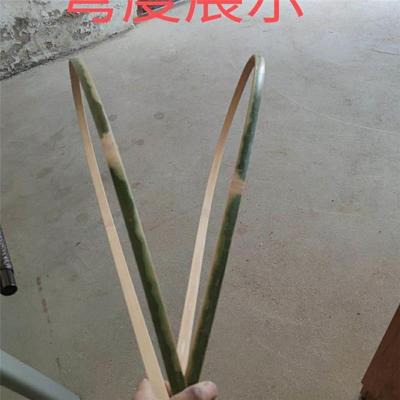 极速笼老毛竹专业毛竹鸟笼方w竹条竹条长条带皮竹板大棚扁材料装