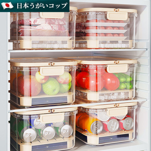 新品冰箱整理收纳盒保鲜盒食品级果蔬冷冻L专用大容量食物收纳神