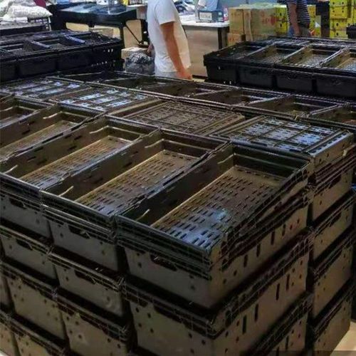 极速超市篮水果生鲜塑料s筐蔬菜篮货架货架商场陈列篮创意展示框