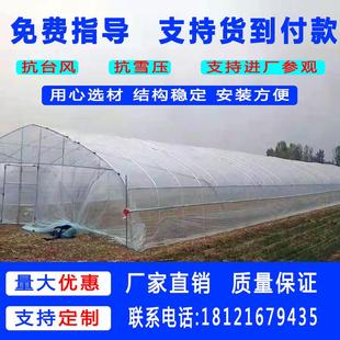 极速养殖大棚钢管骨架椭圆管x钢架温室大棚养猪养羊养鸡场鸡舍鸡