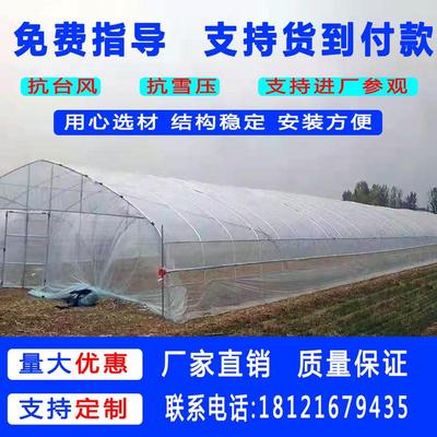 极速养殖大棚钢管骨架椭圆管x钢架温室大棚养猪养羊养鸡场鸡舍鸡