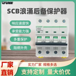 厂家直销 浪涌SCB后备保护器一级后备保护器
