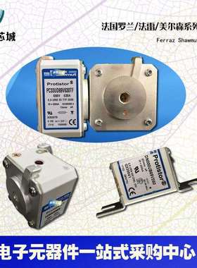PC70UD13C63EF P300600 PC70UD13C80EF Q300601法国Ferraz熔断器