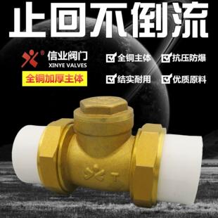 单向阀逆止家用水管全铜水泵用防倒流止水阀 .止回阀PPR双活接卧式