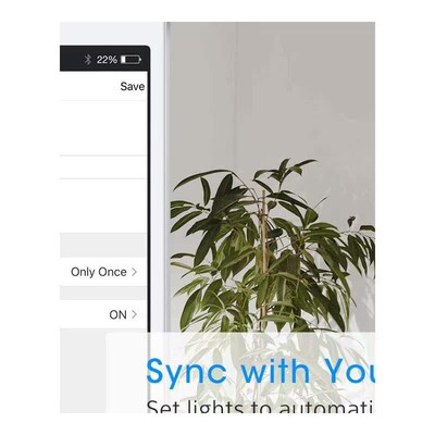 Smartb WiFi Light Touch Wall Switch US Interruptor Wireless