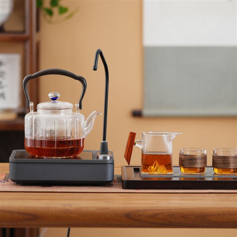 耐热玻璃提梁煮茶壶家用煮茶电陶炉养生煮茶M器套装大容量蒸煮一