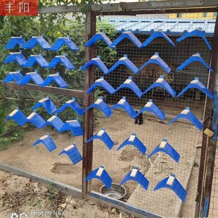 极速鸽子用品用具大全信鸽站架栖架栖息架赛鸽P鸽具息落架站台鸽