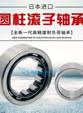 NSK轴承N216f 217 218 219 220 222 224 226 228 230 232 234 EM