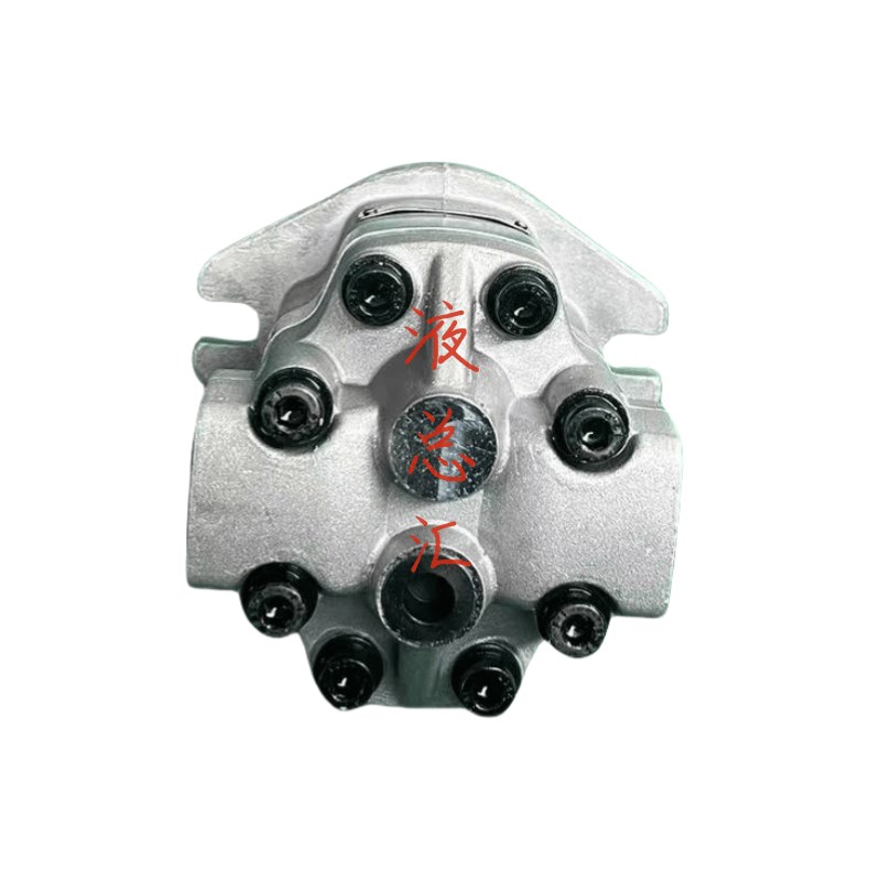 GM5-12-1F13S-20 齿轮油泵5 6 8 1E0 16 20 25-1F13F-20 液压泵